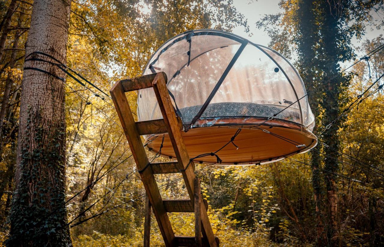Les Bulles De La Maison Du Rocher Noisy-sur-Ecole ภายนอก รูปภาพ