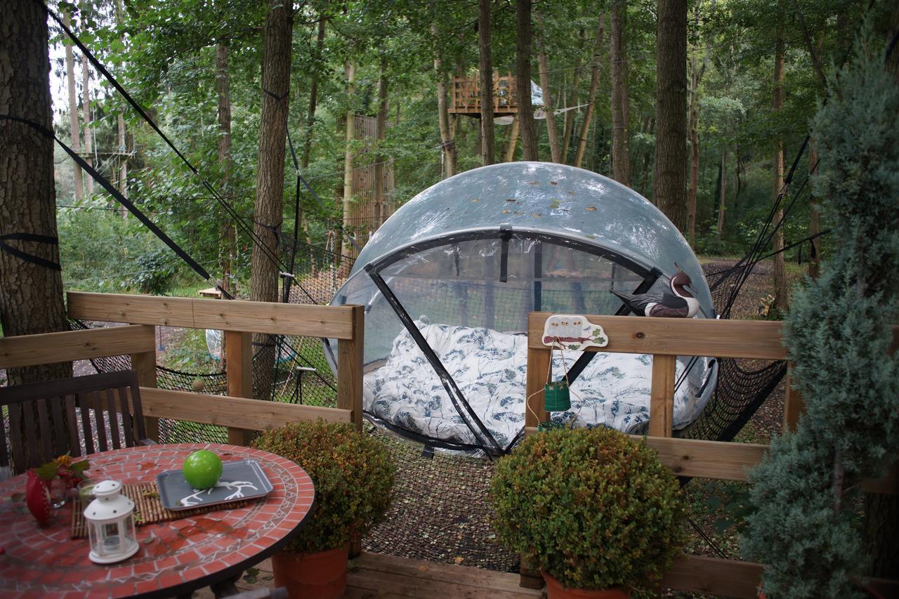 Les Bulles De La Maison Du Rocher Noisy-sur-Ecole ภายนอก รูปภาพ